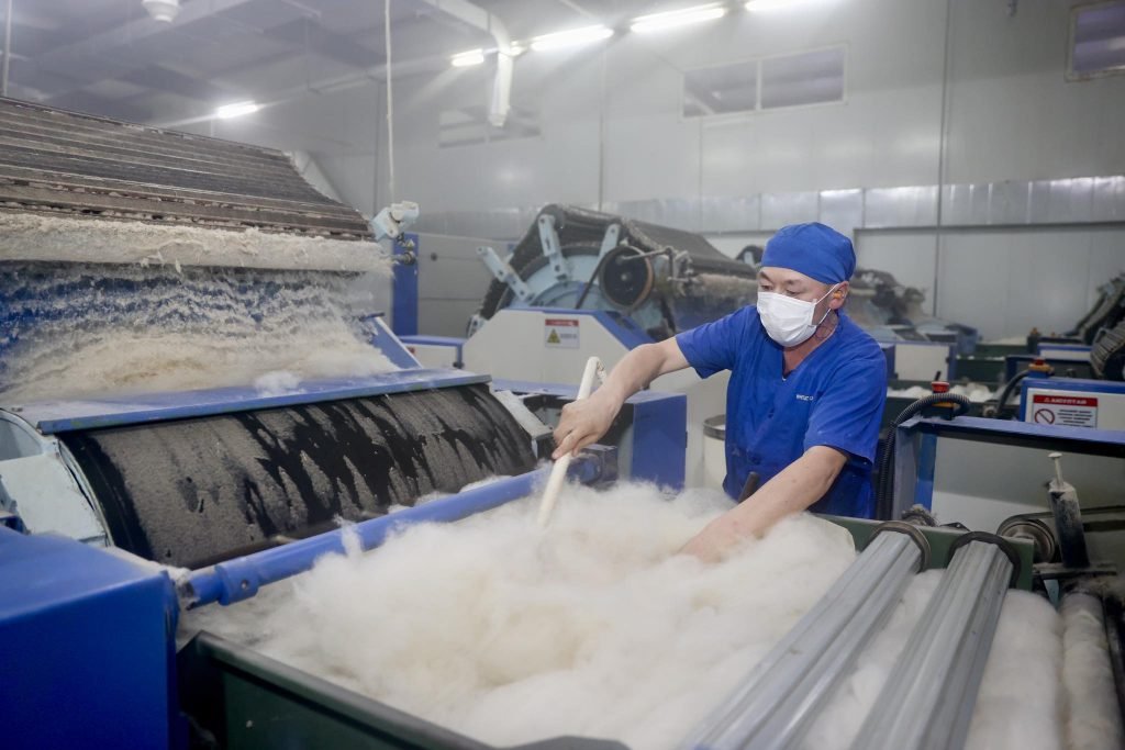 8c411a9d7a894c4b93ef770638319a5f