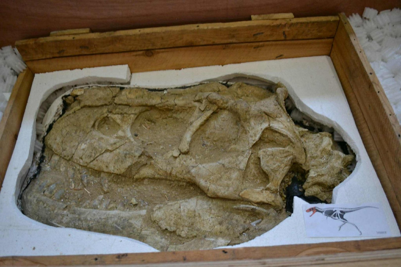 93228c7db73f4e36addfeff56d053791