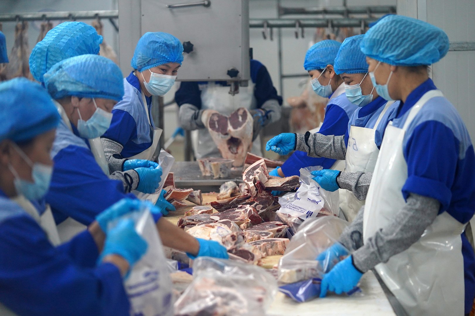 9d480275ff6b4e6f991ed1c16ec8d33b