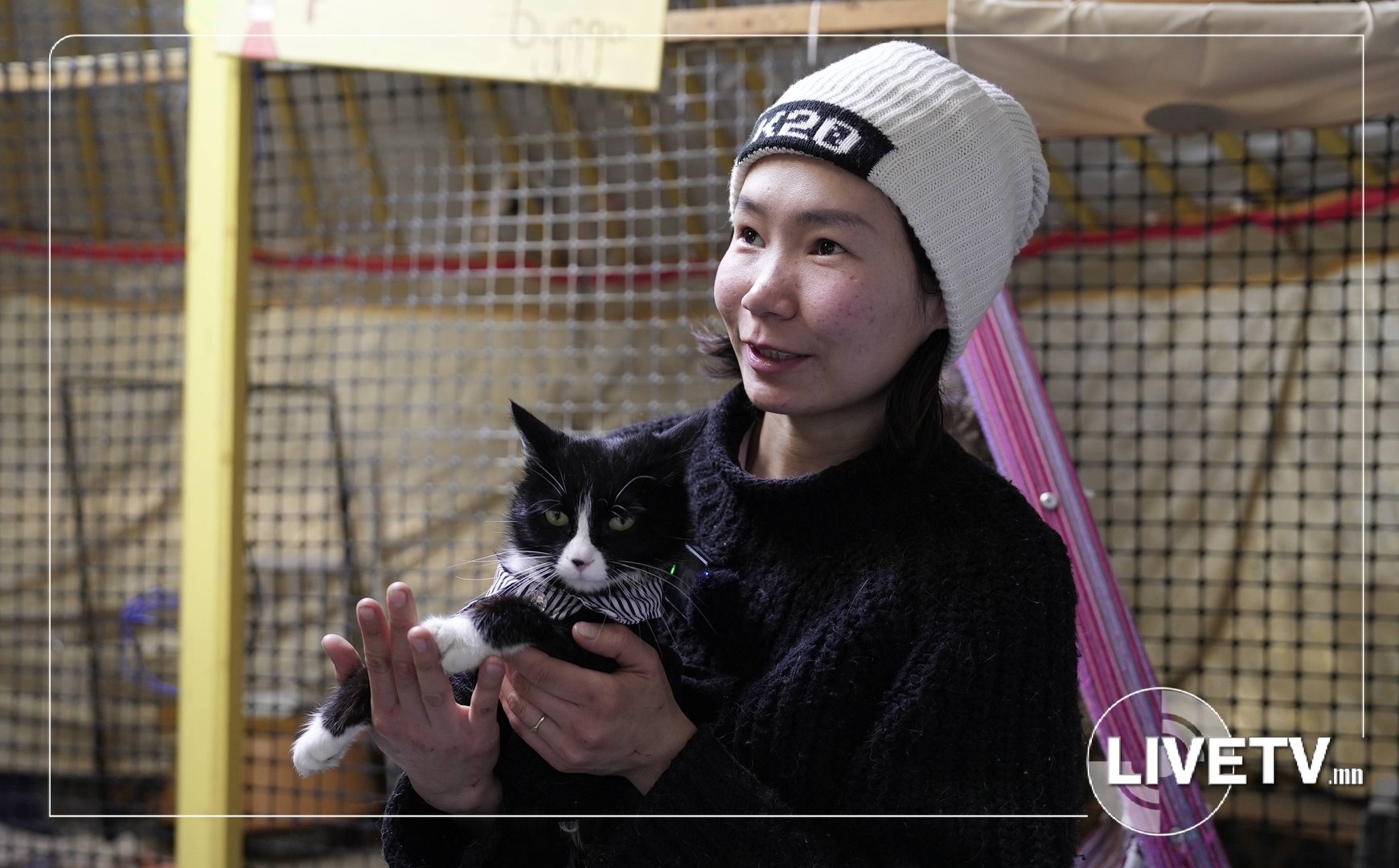 10fab04a41254bf6bfd75c885e255ad6