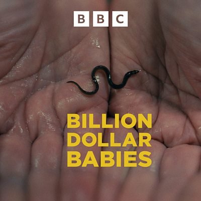 24129e712c3443db9807532a36dffcea