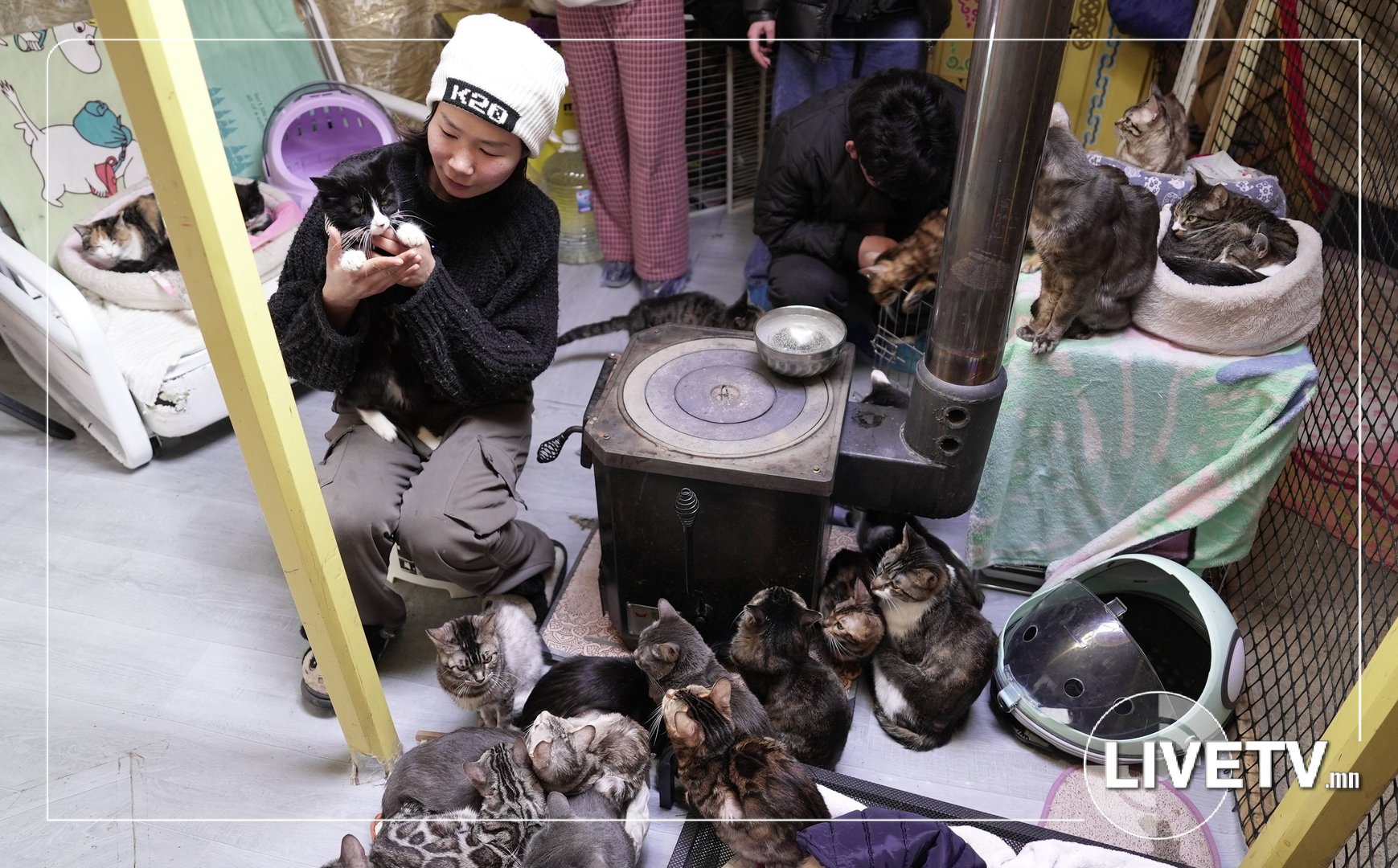 69e2b65d503841aca316f9899cde3894