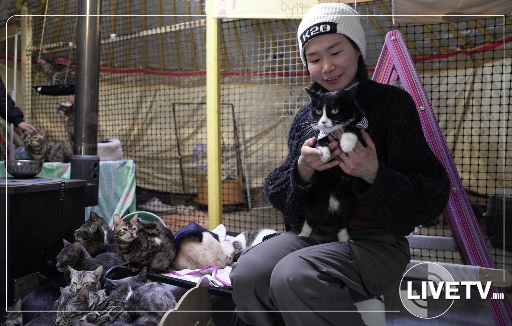 9272bb2a135c4ba4a8685f2b9ea71f8b