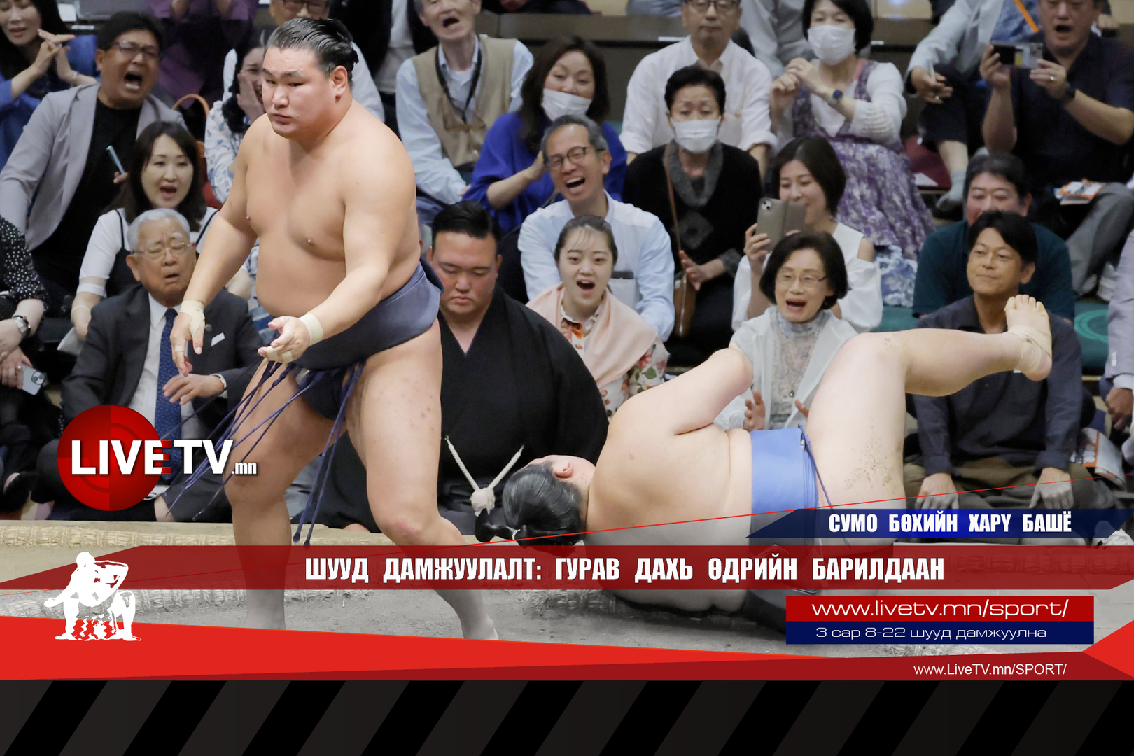 994fb67fef5f4c95b287201ae8d383b4