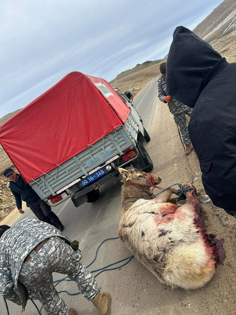 8077a2f557df4aa682ffa794e290498d