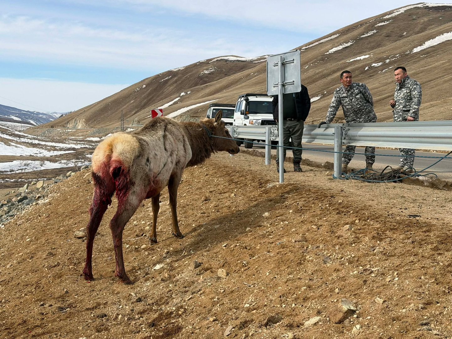 883a4392b7624402a9ee7c4e1677912c