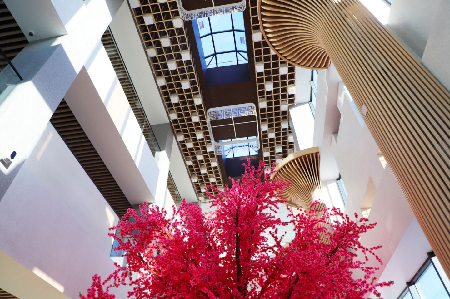 9df9ef90b4e543eab2dc892e5a5c93d2